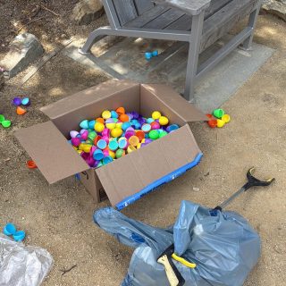 Easter egg leftovers at Borel Park. Are these trash?